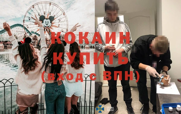 твердый Новозыбков