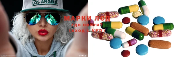твердый Новозыбков
