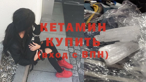 твердый Новозыбков