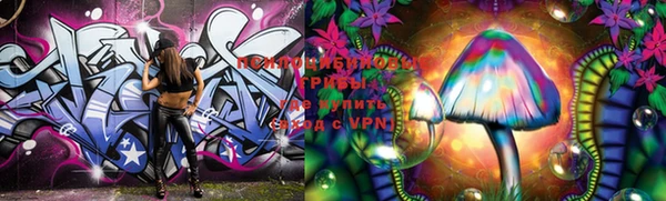 ECSTASY Киреевск