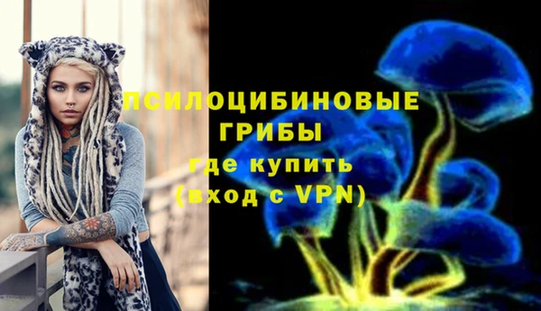 кокаин Новодвинск