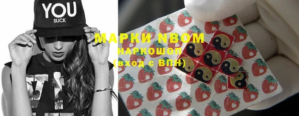 твердый Новозыбков