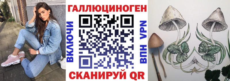 Галлюциногенные грибы Psilocybe  МЕГА как войти  darknet какой сайт  Кунгур 