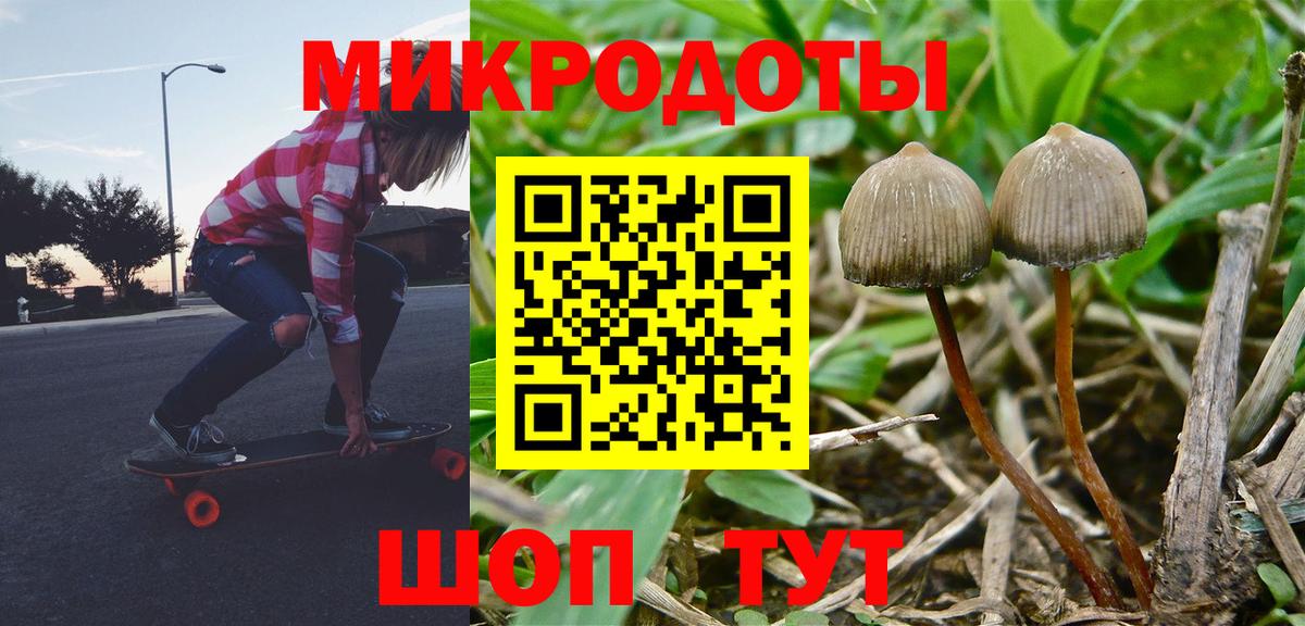 Псилоцибиновые грибы ЛСД  Кунгур  Галлюциногенные грибы Psilocybe 