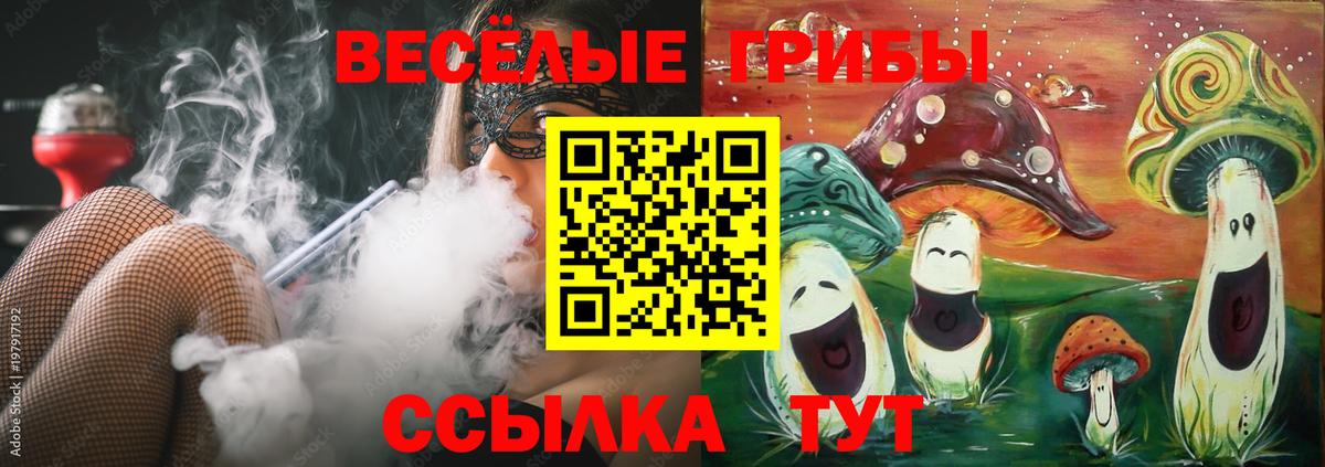 Псилоцибиновые грибы прущие грибы  Галлюциногенные грибы GOLDEN TEACHER  Вход с VPN  Кунгур 